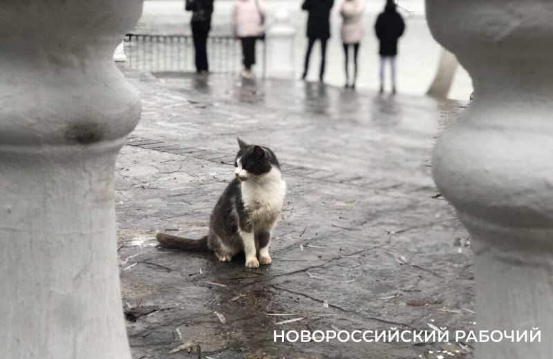 Абрау-Дюрсо новогоднее, без снега. Для настроения и воспоминаний на весь год!