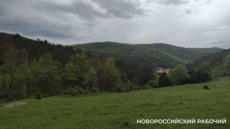 Администрация Новороссийска сдает в аренду землю и электромобиль