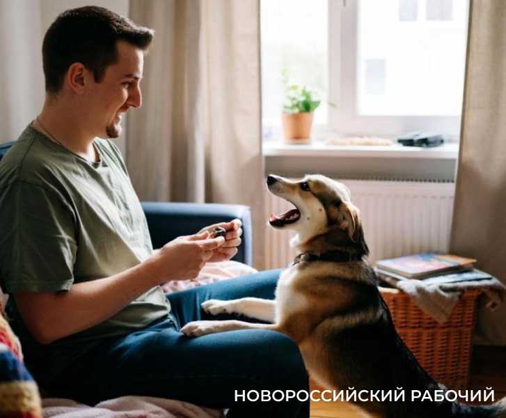 Бешенство: невидимая угроза, которая не прощает ошибок