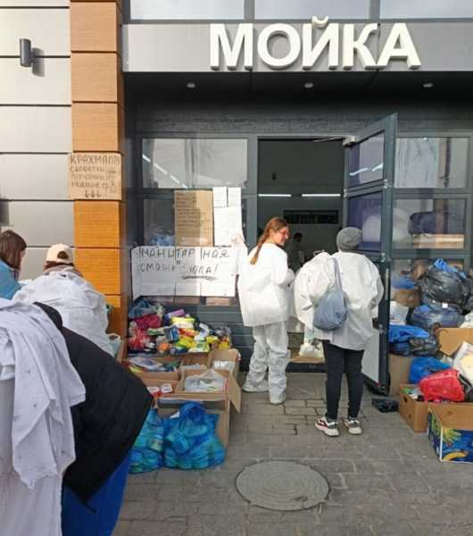 Дети могут быть сильнее взрослых. Выходит книга автора из Новороссийска о волонтерах и дельфинихе Софи