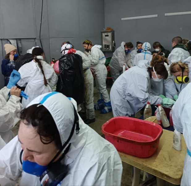 Дети могут быть сильнее взрослых. Выходит книга автора из Новороссийска о волонтерах и дельфинихе Софи