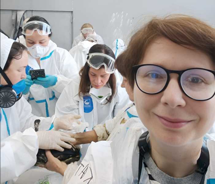 Дети могут быть сильнее взрослых. Выходит книга автора из Новороссийска о волонтерах и дельфинихе Софи