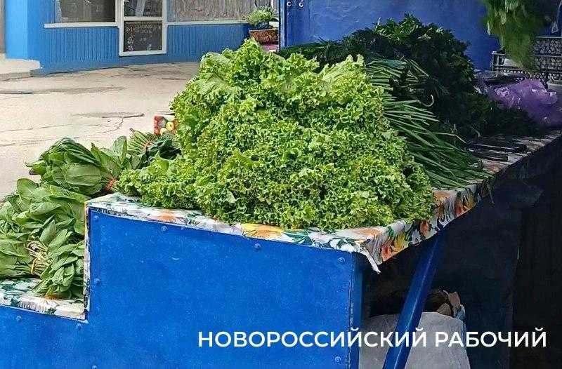 До 2 500 руб за кг! В Новороссийске подорожала свежая зелень