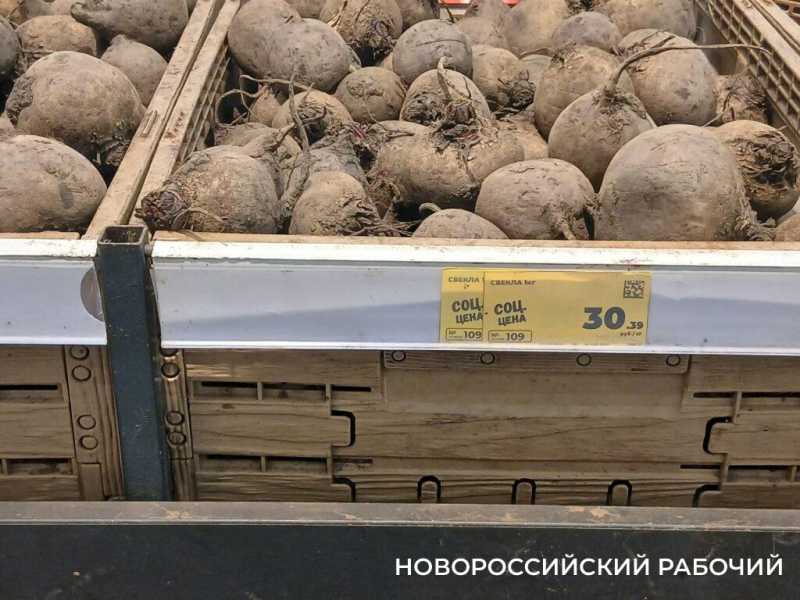 Как выросли цены в Новороссийске из-за повышения НДС