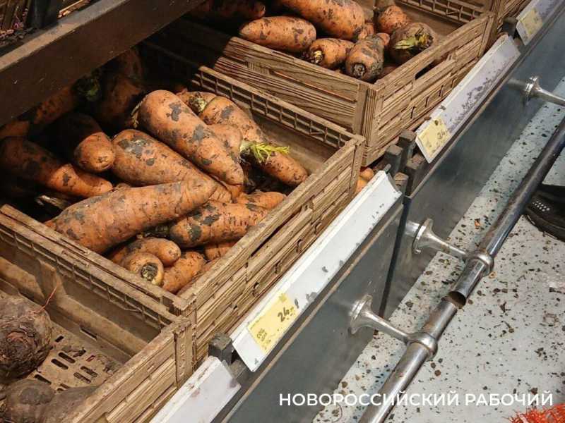 Как выросли цены в Новороссийске из-за повышения НДС