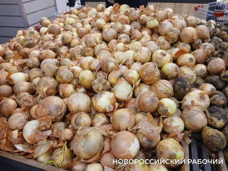 Как выросли цены в Новороссийске из-за повышения НДС