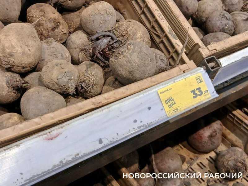 Как выросли цены в Новороссийске из-за повышения НДС