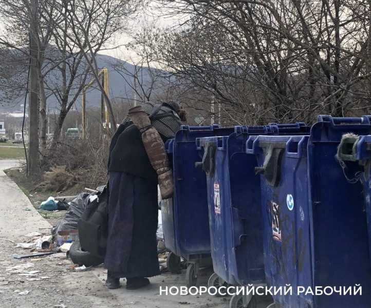 Куда жаловаться новороссийцам, если мусор не вывозят