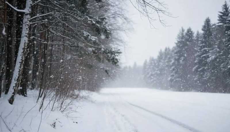 Новороссийцев убедительно просят не покидать свои дома без крайней необходимости