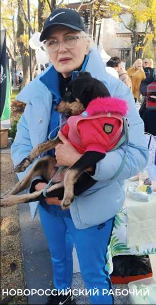 Новороссийские волонтеры спасли Наоми, которая очень хочет в семью