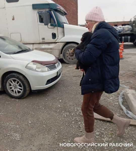 Новороссийские волонтеры спасли Наоми, которая очень хочет в семью