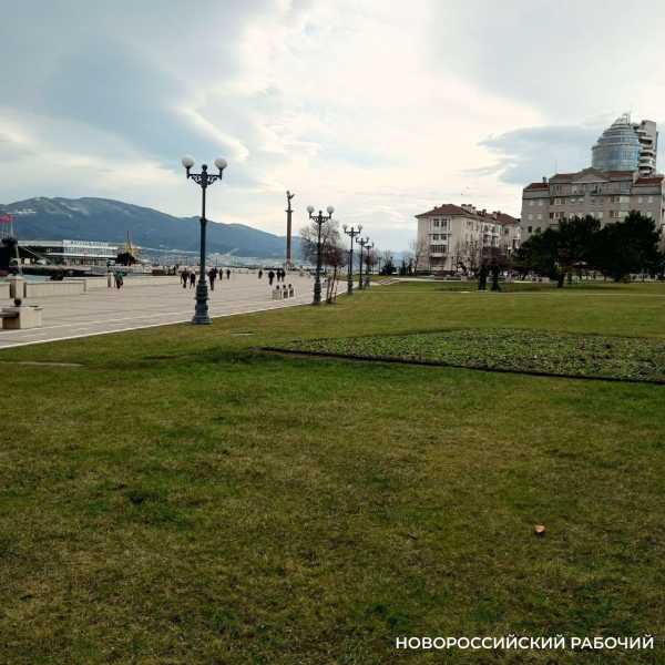 От павлина на набережной Новороссийска остался один облезлый &laquo;хвост&raquo;