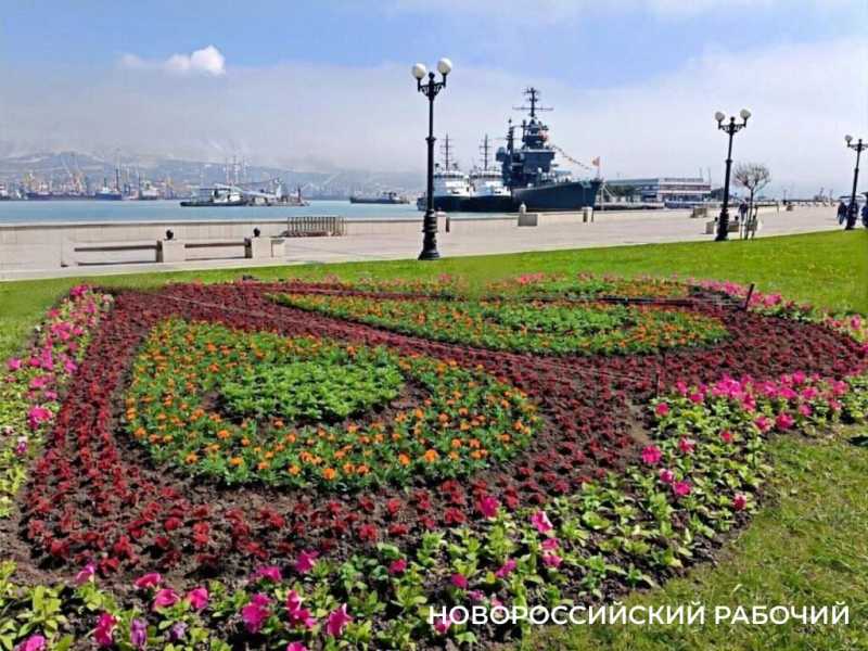 От павлина на набережной Новороссийска остался один облезлый &laquo;хвост&raquo;