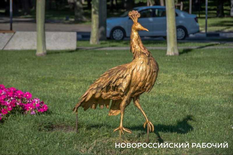 От павлина на набережной Новороссийска остался один облезлый &laquo;хвост&raquo;