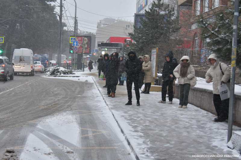 Перевозчики объяснили причины сбоев в движении общественного транспорта Новороссийска