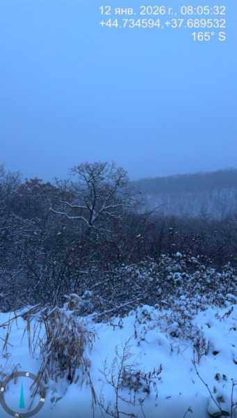 Под Новороссийском промышляет стая волков&nbsp;&nbsp;&nbsp;&nbsp;&nbsp;&nbsp;&nbsp;&nbsp;&nbsp;&nbsp;&nbsp;