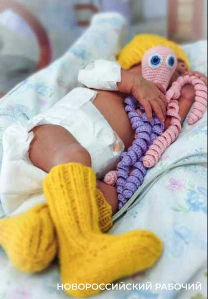 Под Новороссийском волонтеры вяжут осьминожек для деток, которые поспешили родиться