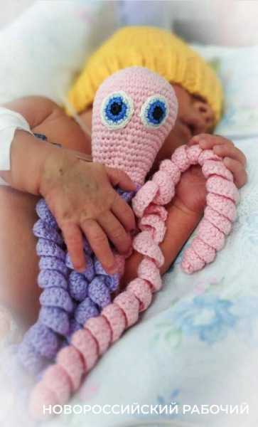 Под Новороссийском волонтеры вяжут осьминожек для деток, которые поспешили родиться