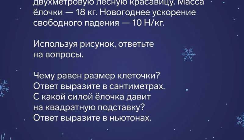 Праздники с пользой для ума: Сириус запустил Новогоднюю межпредметную олимпиаду для всей семьи