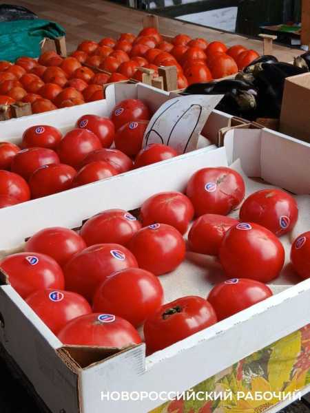 Рынок Новороссийска опустел из-за морозов