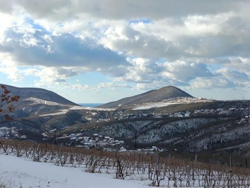 Семейное ничегонеделание или марш на работу? Как новороссийцы проводят новогодние каникулы