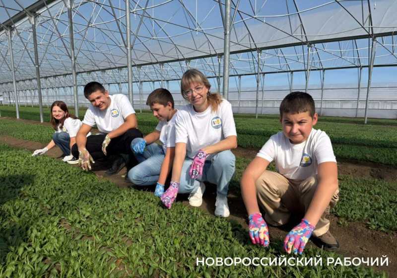 Сколько домов расселят, цветов посадят и скверов построят в Новороссийске в 2026 году