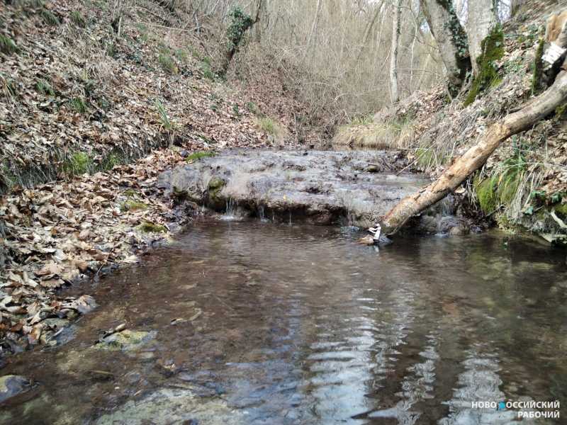 Совет дня на 30 января: молись &ndash; и будешь услышан