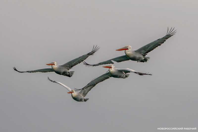 Советы дня на 24 января: доверьтесь интуиции