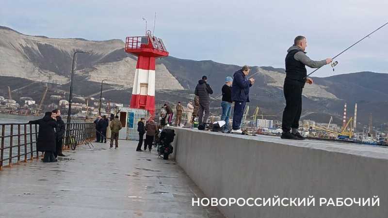 &laquo;У селедки тоже праздники!&raquo; &mdash; на молу Новороссийска рыбаки не дождутся улова