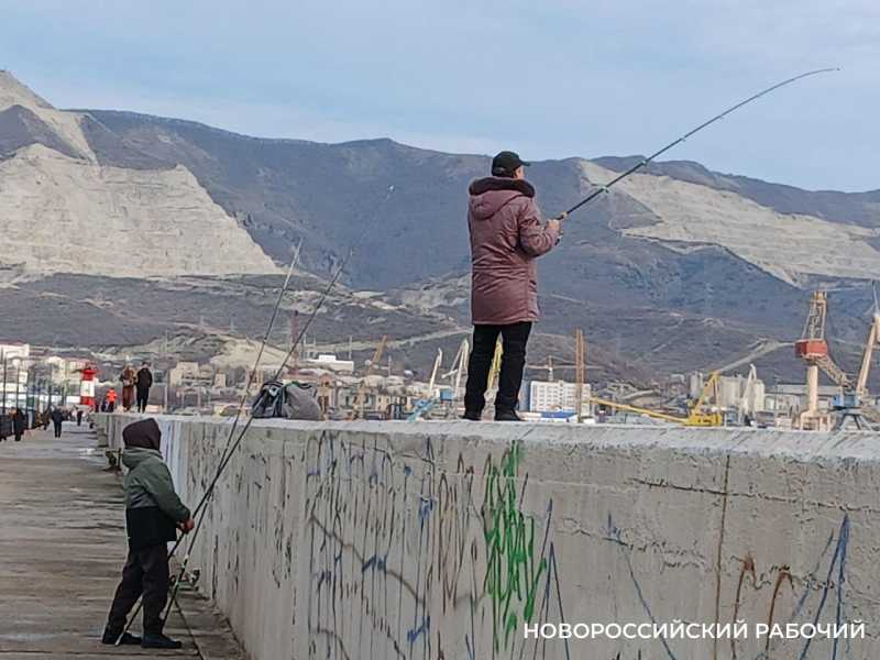 &laquo;У селедки тоже праздники!&raquo; &mdash; на молу Новороссийска рыбаки не дождутся улова
