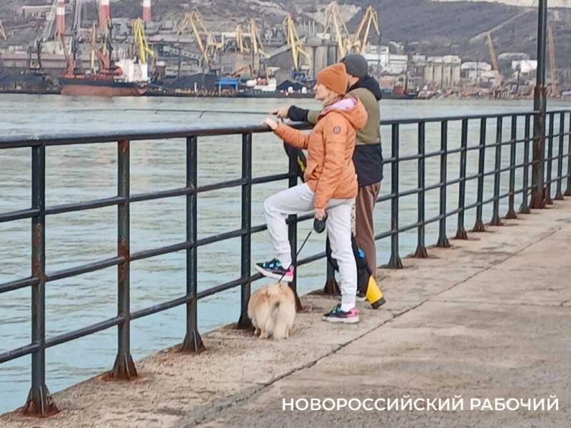 &laquo;У селедки тоже праздники!&raquo; &mdash; на молу Новороссийска рыбаки не дождутся улова
