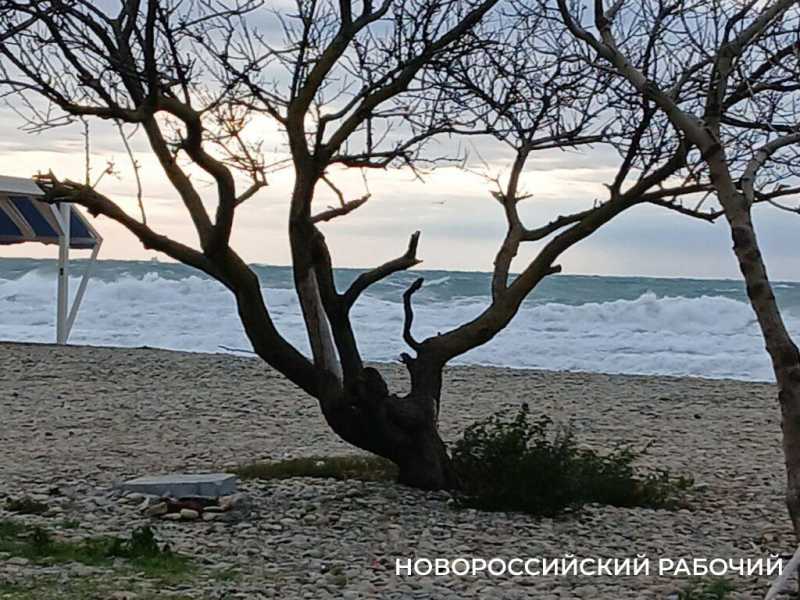 В курортном пригороде Новороссийска бушует первый шторм в этом году