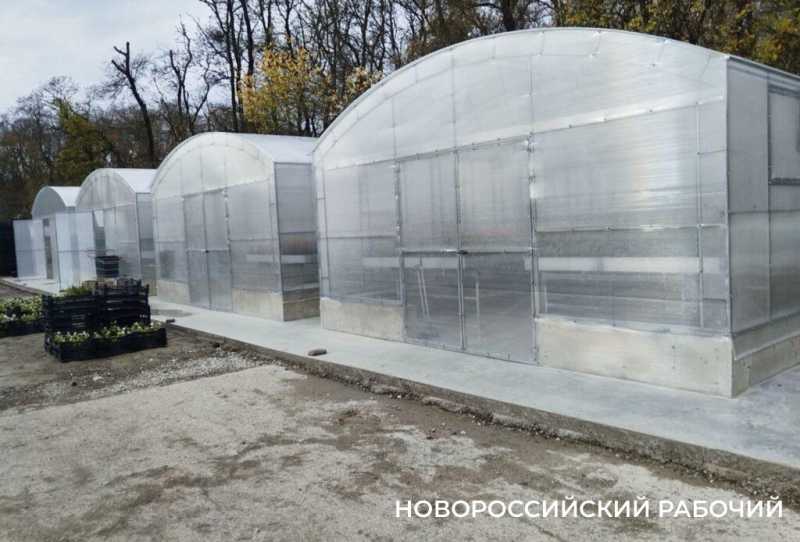 В Новороссийске есть идея создать парк тюльпанов