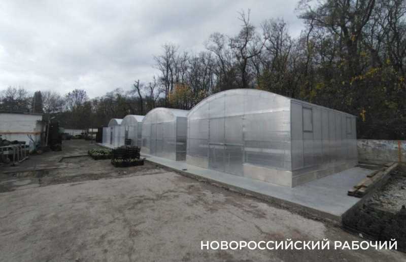 В Новороссийске есть идея создать парк тюльпанов