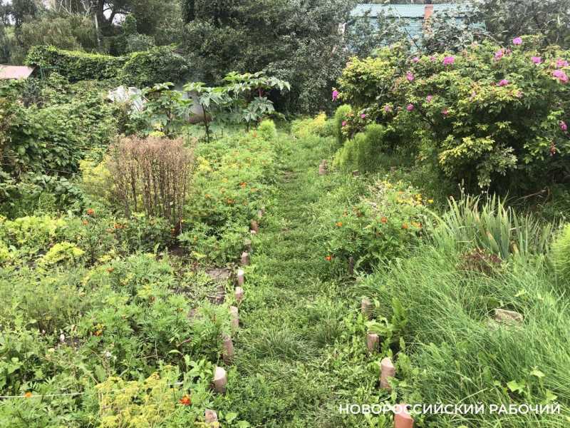 В Новороссийске нашли землю для выделения 150 участков орденоносцам СВО