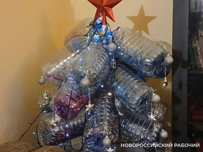 В Новороссийске &laquo;пятишки&raquo; из-под воды превратили в экологическую елку