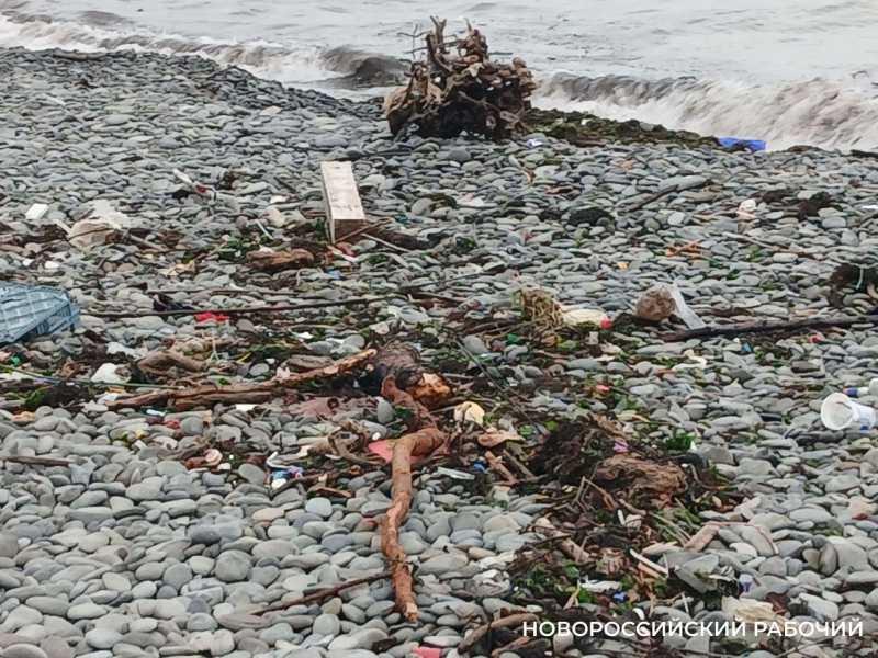 В Новороссийске после шторма пляж усыпан мусорными &laquo;дарами моря&raquo;
