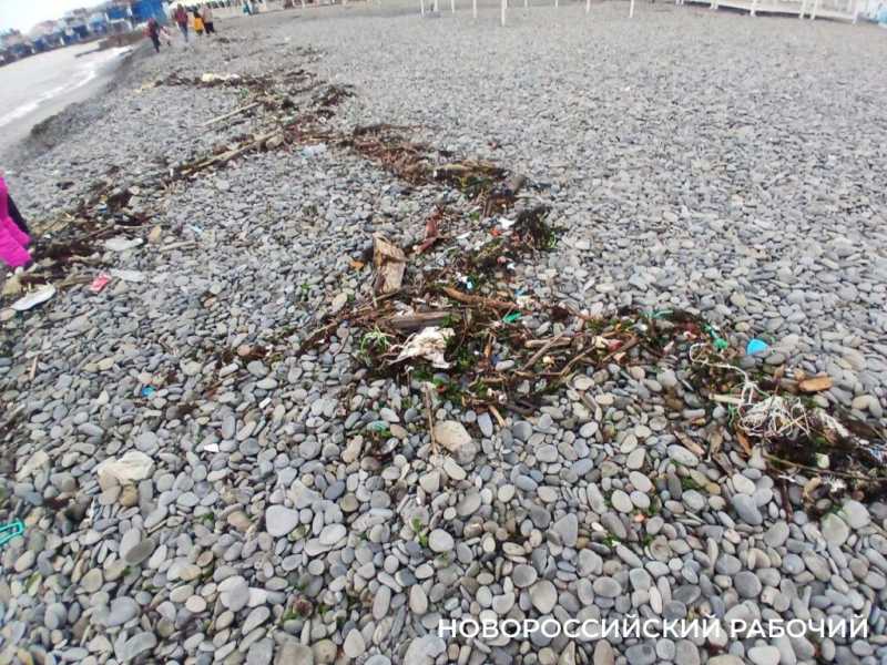 В Новороссийске после шторма пляж усыпан мусорными &laquo;дарами моря&raquo;