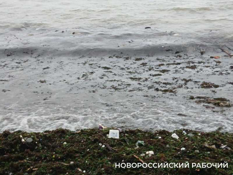 В Новороссийске после шторма пляж усыпан мусорными &laquo;дарами моря&raquo;