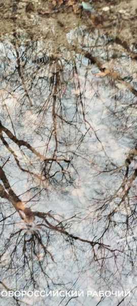 В Новороссийске с гор бегут чистейшие ручьи