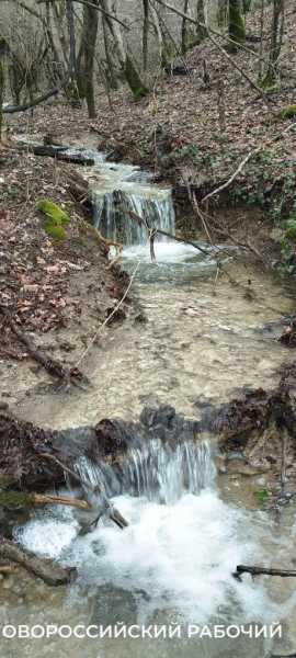 В Новороссийске с гор бегут чистейшие ручьи