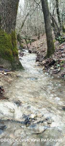В Новороссийске с гор бегут чистейшие ручьи