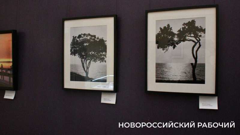 В Новороссийске стало модно фотографировать на плёнку. Расскажем почему