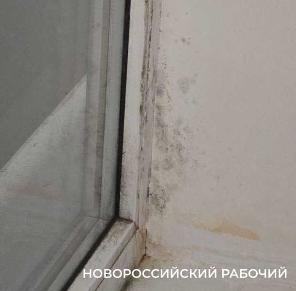 В обновленной библиотеке Новороссийска будут устранять сырость и плесень