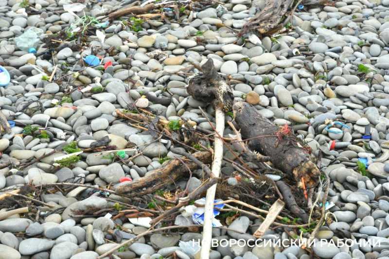 В первый погожий день новороссийцы гуляют у моря