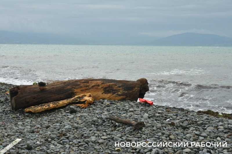 В первый погожий день новороссийцы гуляют у моря