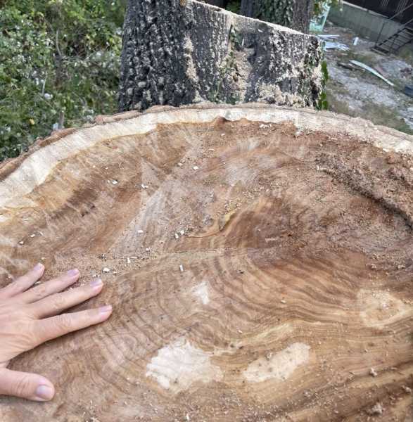 В пригороде Новороссийска продают нашумевший земельный участок