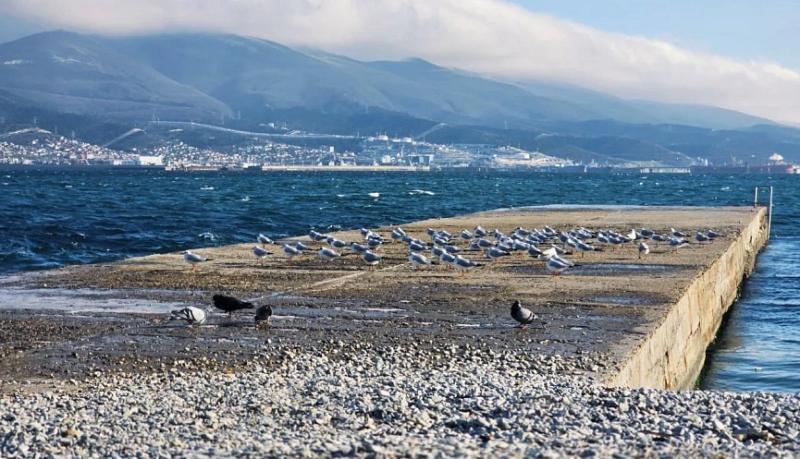 Вениамин Кондратьев: В новогодние праздники в Краснодарском крае отдохнули 508 тысяч человек