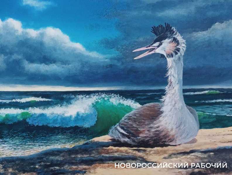 Волонтер дядя Саша рисует спасенных птиц, как будто мазутной катастрофы в Анапе и не было