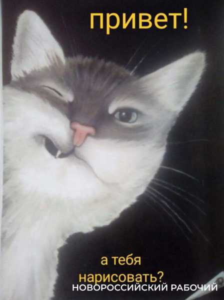 Волонтер дядя Саша рисует спасенных птиц, как будто мазутной катастрофы в Анапе и не было